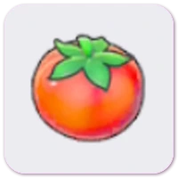 Tomato icon