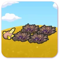 Smooth tall grass image