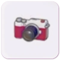 Digital camera icon