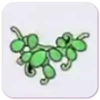 Vine wall decoration icon