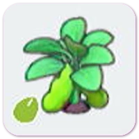 Bean seeds icon