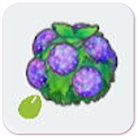 Damp-hedge seeds icon