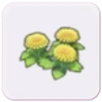 Dandy flowers icon