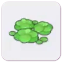 Duckweed icon