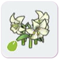 Elegant-flower seeds icon