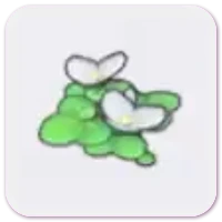 Flowering duckweed icon