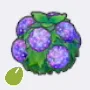 Moist Hedge Seed icon