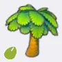 Palm Tree Seed icon