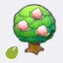 Pecha Seed icon