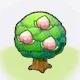 Pecha Tree icon