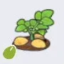 Potato Seed icon