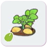 Potato seeds icon