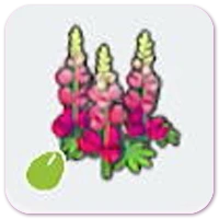 Robust-flower seeds icon