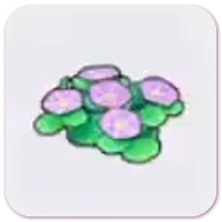 Seashore flowers icon