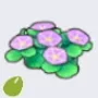 Seaside Flower Seed icon