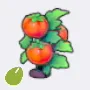 Tomato Seed icon