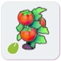 Tomato seeds icon