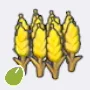 Wheat Seed icon
