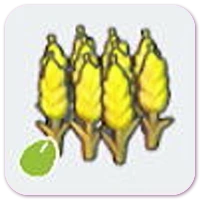 Wheat seeds icon