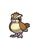 Pidgey artwork