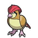 Pidgeotto artwork
