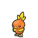 Torchic artwork