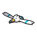 Wingull artwork