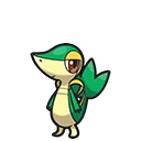 Snivy artwork
