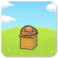 Skull Fossil display image