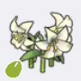 Elegant Flower Seed icon