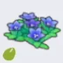 Rocky Area Flower Seed icon