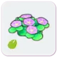 Seashore-flower seeds icon
