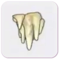Stalactites icon