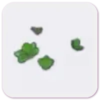 Verdant shoots icon