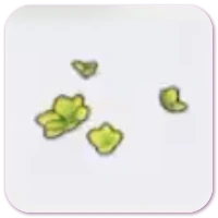 Yellow-green shoots icon