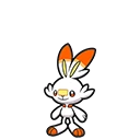 Scorbunny artwork